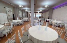 Spatiu comercial, 411 mp, vad stradal, zona Metal Lemn