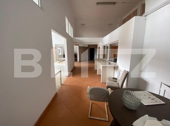 Spațiu comercial de închiriat Lapus Arges - 147774SIC | BLITZ Craiova | Poza8
