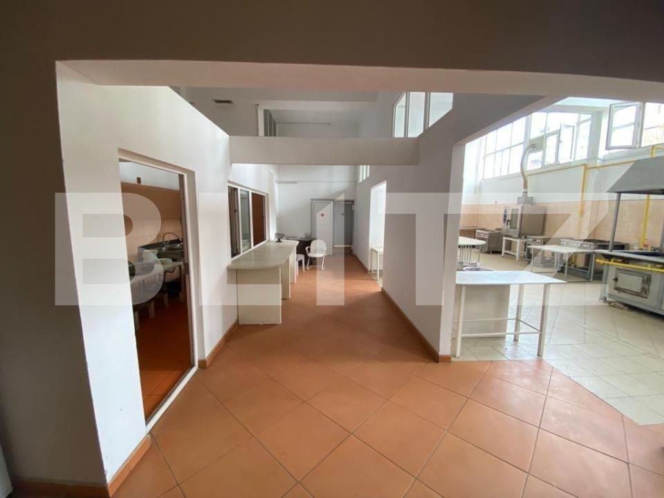 Spațiu comercial de închiriat Lapus Arges - 147774SIC | BLITZ Craiova | Poza7