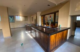 Spatiu comercial, 300 mp, zona Piața Horia