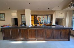 Spatiu comercial, 300 mp, zona Piața Horia