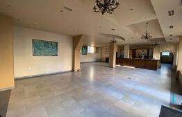 Spatiu comercial, 300 mp, zona Piața Horia