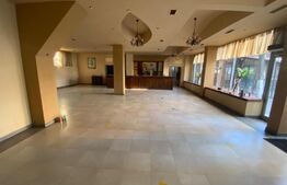 Spatiu comercial, 300 mp, zona Piața Horia