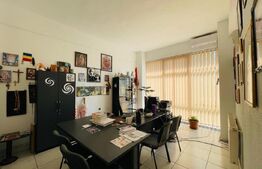 Spatiu de Birouri, 340 mp, Calea Severinului