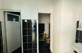 Spatiu de Birouri, 340 mp, Calea Severinului