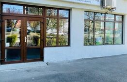 Spatiu de Birouri, 340 mp, Calea Severinului