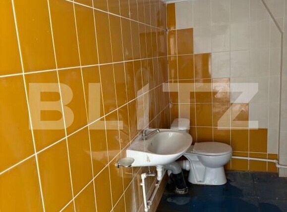 Spațiu birouri de închiriat Podari - 147782SIB | BLITZ Craiova | Poza4