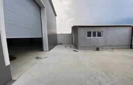 Hala industriala 500 mp, anexe 100mp, zona industriala Carcea