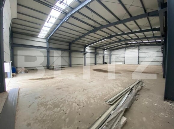 Spațiu industrial de vânzare Est - 147783SVI | BLITZ Craiova | Poza3