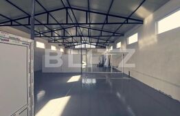 Proprietate  2 hale și o casa, 530 mp 2000 mp teren, zona Dumagas