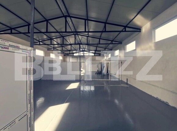 Spațiu industrial de vânzare Exterior Sud - 147784SVI | BLITZ Craiova | Poza2