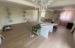 Spatiu comercial 140 mp, 330 mp teren, zona Mirage Ballroom