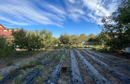 Vilă D + P + E + M de 600 mp utili, pe un teren de 1.400 mp, Catargiu