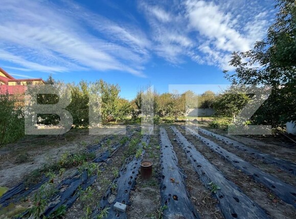 Casa de vânzare 18 camere Lascar Catargiu - 147800CV | BLITZ Craiova | Poza4