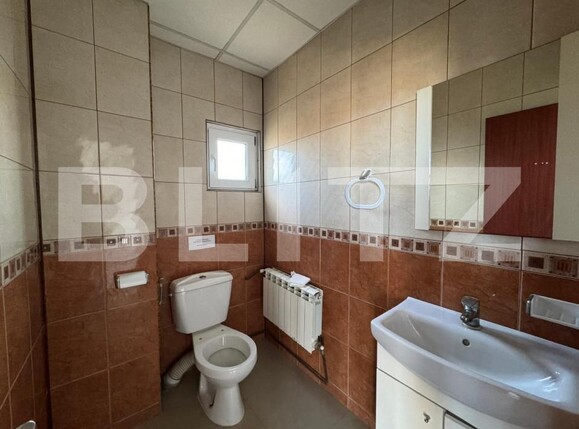 Spațiu industrial de închiriat Brestei - 147807SII | BLITZ Craiova | Poza15