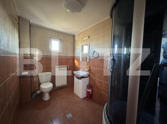 Spațiu industrial de închiriat Brestei - 147807SII | BLITZ Craiova | Poza11