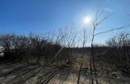 Teren de inchiriat, 1800 mp,pozitie buna, pretabil pentru multe activitati