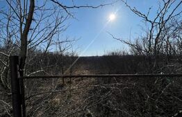 Teren de inchiriat, 1800 mp,pozitie buna, pretabil pentru multe activitati