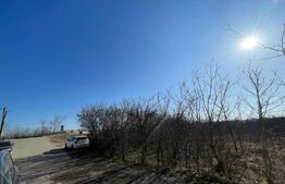 Teren de inchiriat, 1800 mp,pozitie buna, pretabil pentru multe activitati