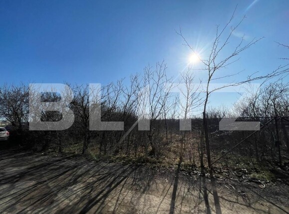 Spațiu comercial de închiriat Exterior Est - 147811SIC | BLITZ Craiova | Poza2