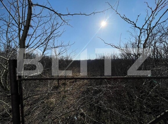 Spațiu comercial de închiriat Exterior Est - 147811SIC | BLITZ Craiova | Poza3