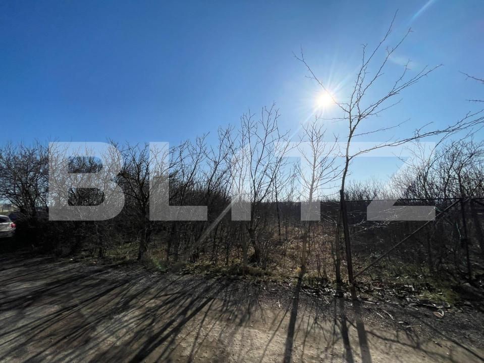 Spațiu comercial de închiriat Exterior Est - 147811SIC | BLITZ Craiova | Poza2