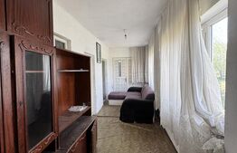 2 case renovabile, teren 1397 mp, front 29 ml, Brestei