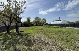 2 case renovabile, teren 1397 mp, front 29 ml, Brestei