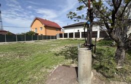 2 case renovabile, teren 1397 mp, front 29 ml, Brestei