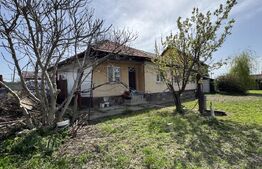 2 case renovabile, teren 1397 mp, front 29 ml, Brestei