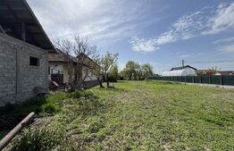 2 case renovabile, teren 1397 mp, front 29 ml, Brestei