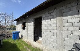 2 case renovabile, teren 1397 mp, front 29 ml, Brestei