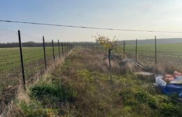 Casa cu teren de 800 mp, 3 camere, Bucovat