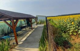 Casa cu teren de 800 mp, 3 camere, Bucovat