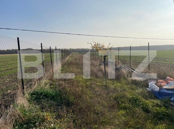 Casa de vânzare 2 camere Bucovat - 147958CV | BLITZ Craiova | Poza12