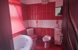 Casă P+E 112 mp utili , 197 mp teren ,zona Plaiul Vulcănești 