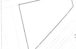 Teren intravilan 25.000 mp, front 300 mp , zona industriala Qfort