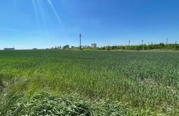 Teren intravilan 25.000 mp, front 300 mp , zona industriala Qfort