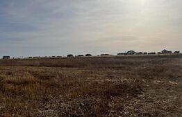 Teren 5000 mp intravilan in Ghercesti 