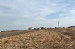 Teren 5000 mp intravilan in Ghercesti 