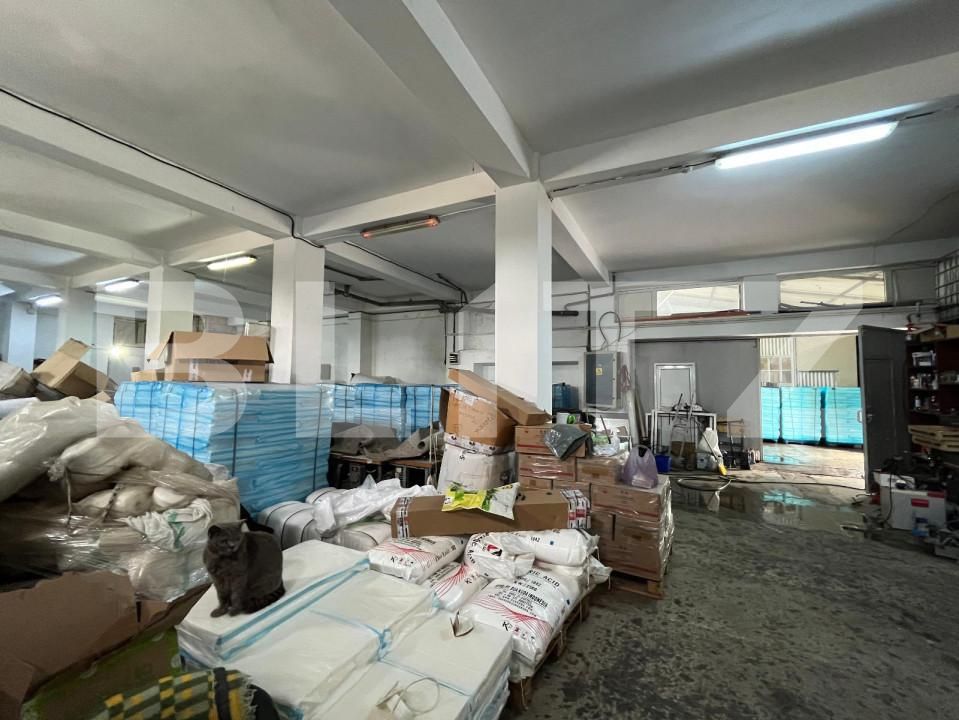 Spațiu industrial de vânzare Brestei - 147982SVI | BLITZ Craiova | Poza15