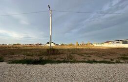 Hale noi pe parter sau P + 1, 1.755 mp utili, teren 4.000 mp, zona Ghercești