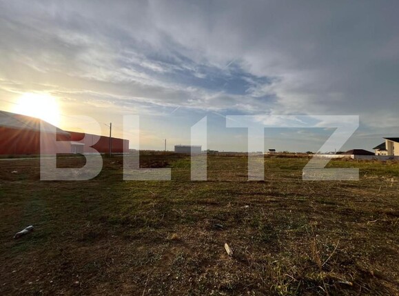 Spațiu industrial de vânzare Ghercesti - 147983SVI | BLITZ Craiova | Poza4