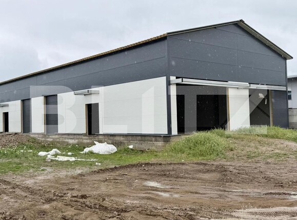 Spațiu industrial de vânzare Ghercesti - 147983SVI | BLITZ Craiova | Poza12