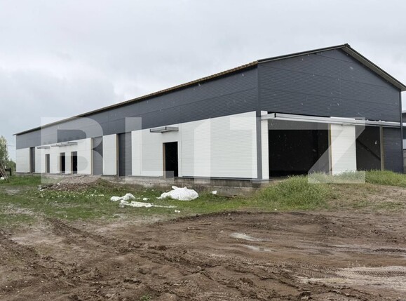 Spațiu industrial de vânzare Ghercesti - 147983SVI | BLITZ Craiova | Poza13