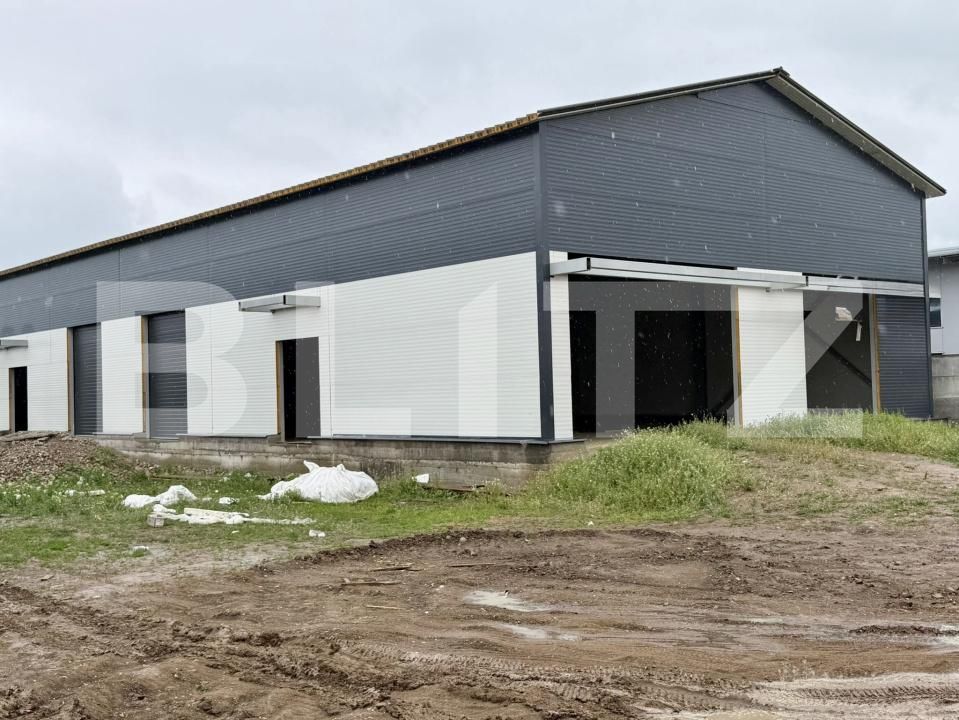 Spațiu industrial de vânzare Ghercesti - 147983SVI | BLITZ Craiova | Poza12