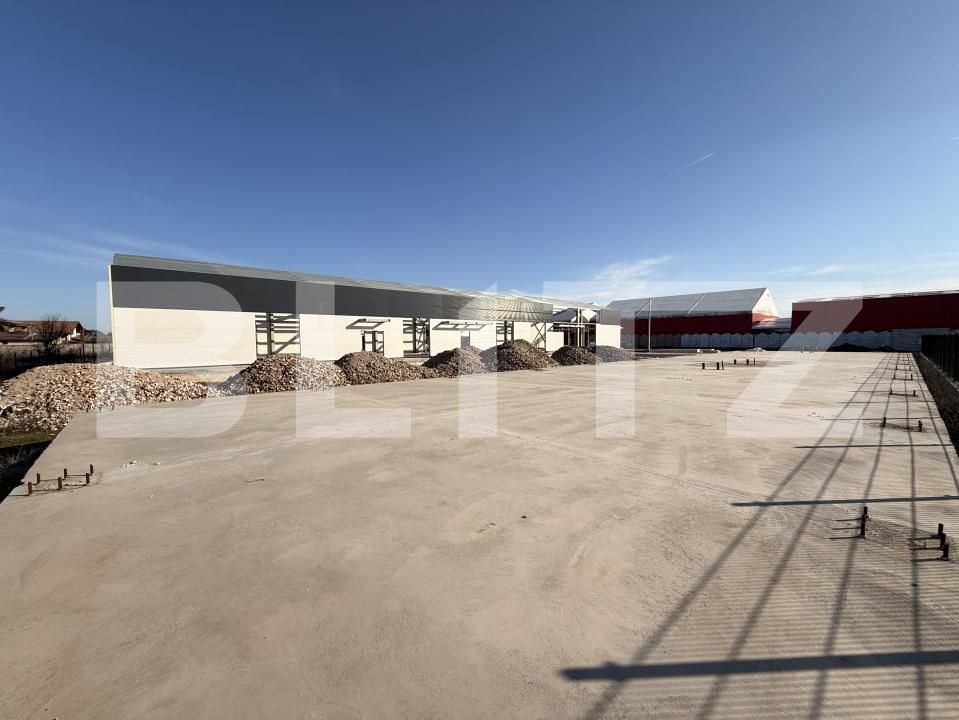 Spațiu industrial de vânzare Ghercesti - 147983SVI | BLITZ Craiova | Poza8
