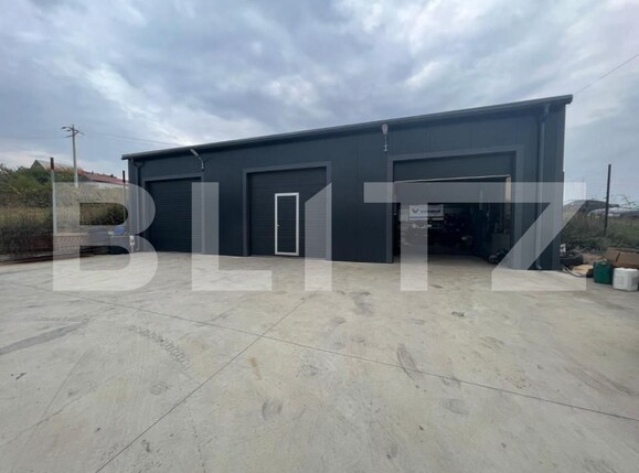 Spațiu industrial de vânzare Bariera Valcii - 147984SVI | BLITZ Craiova | Poza1