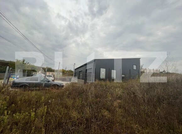 Spațiu industrial de vânzare Bariera Valcii - 147984SVI | BLITZ Craiova | Poza12