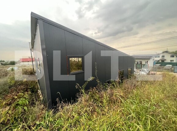 Spațiu industrial de vânzare Bariera Valcii - 147984SVI | BLITZ Craiova | Poza11